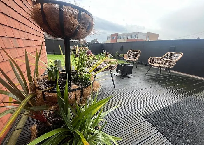 Dog Friendly Apartment With Beautiful Rooftop Terrace